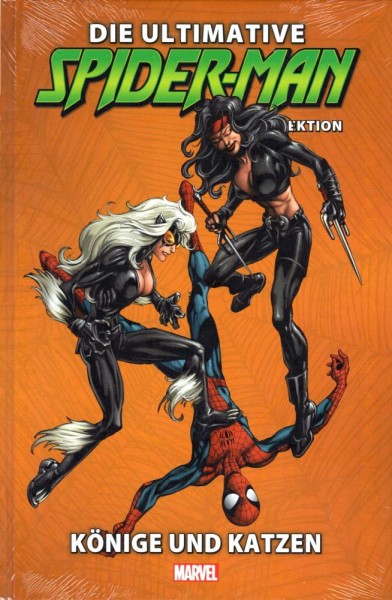 Die ultimative Spider-Man-Comic-Kollektion 8, Panini