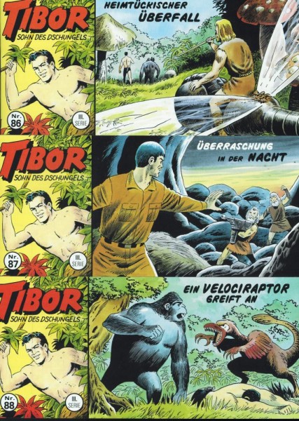 Tibor 3. Serie 86-88, Wildfeuer