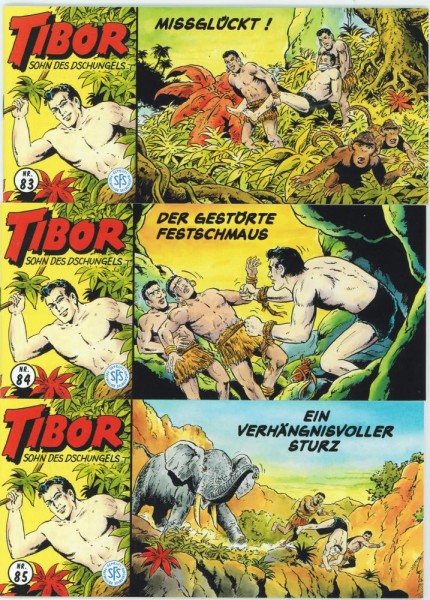 Tibor 2. Serie 83-85, Wildfeuer