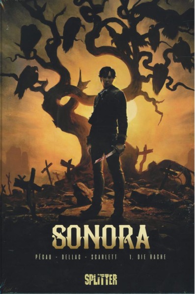 Sonora 1, Splitter