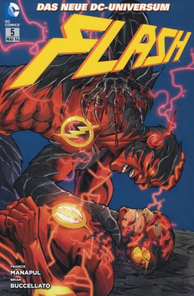 Flash 5, Panini