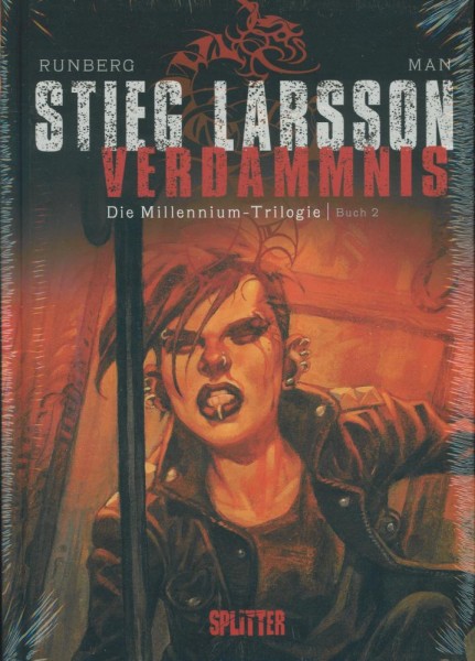 Stieg Larsson - Buch 2: Verdammnis, Splitter