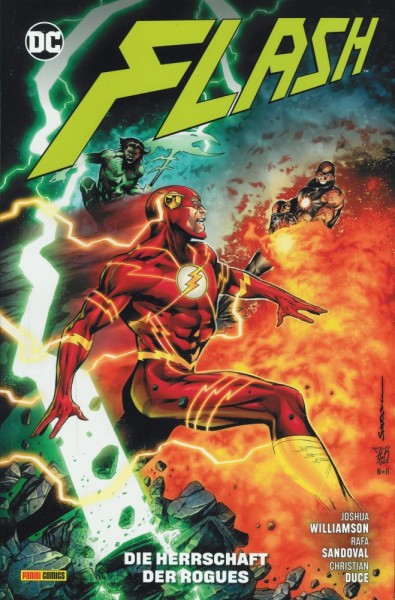 Flash - Rebirth 14, Panini