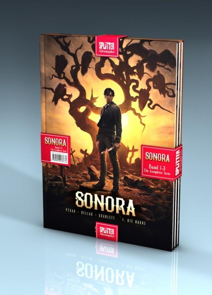 Adventspaket Sonora 1-3, Splitter