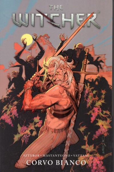 The Witcher 9, Panini